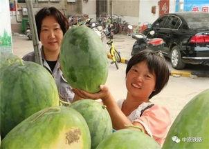 株洲铁西小区吃瓜,邻里纠纷中的“吃瓜”众生相