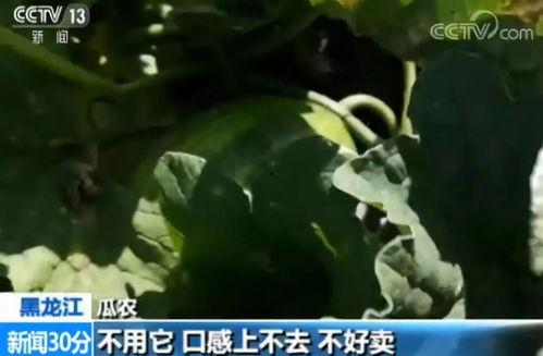 打野吃瓜,揭秘电竞圈幕后风云