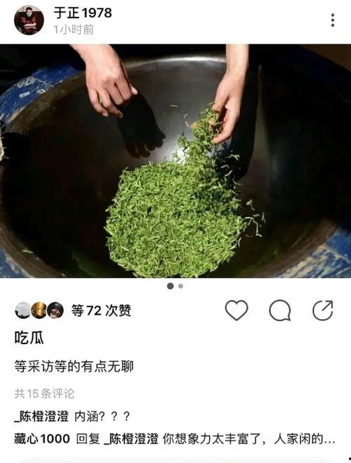 露思吃瓜照片,解锁夏日清新美食新风尚