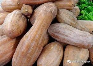 长青方瓜怎么吃,解锁健康美味新体验