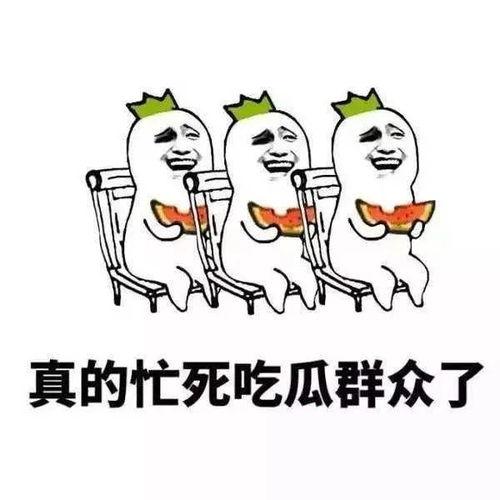 吃瓜大队melon,揭秘娱乐圈的甜蜜瓜果