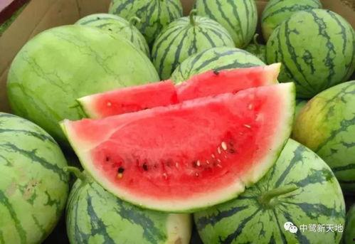 石佛寺今天吃瓜,揭秘神秘事件背后的真相